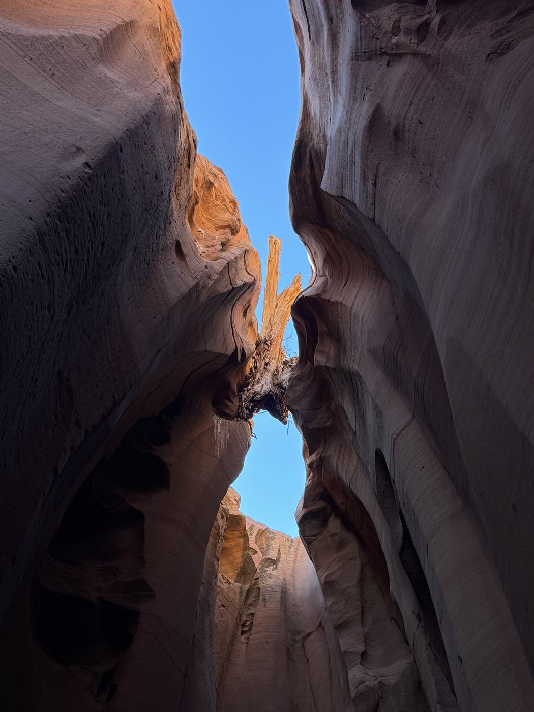 Antelope Canyon walls opening to blue sky